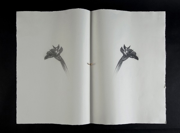 Omar Galliani Un iris per Giorgio matita nera su carta e anello d'oro 78.5x107 cm