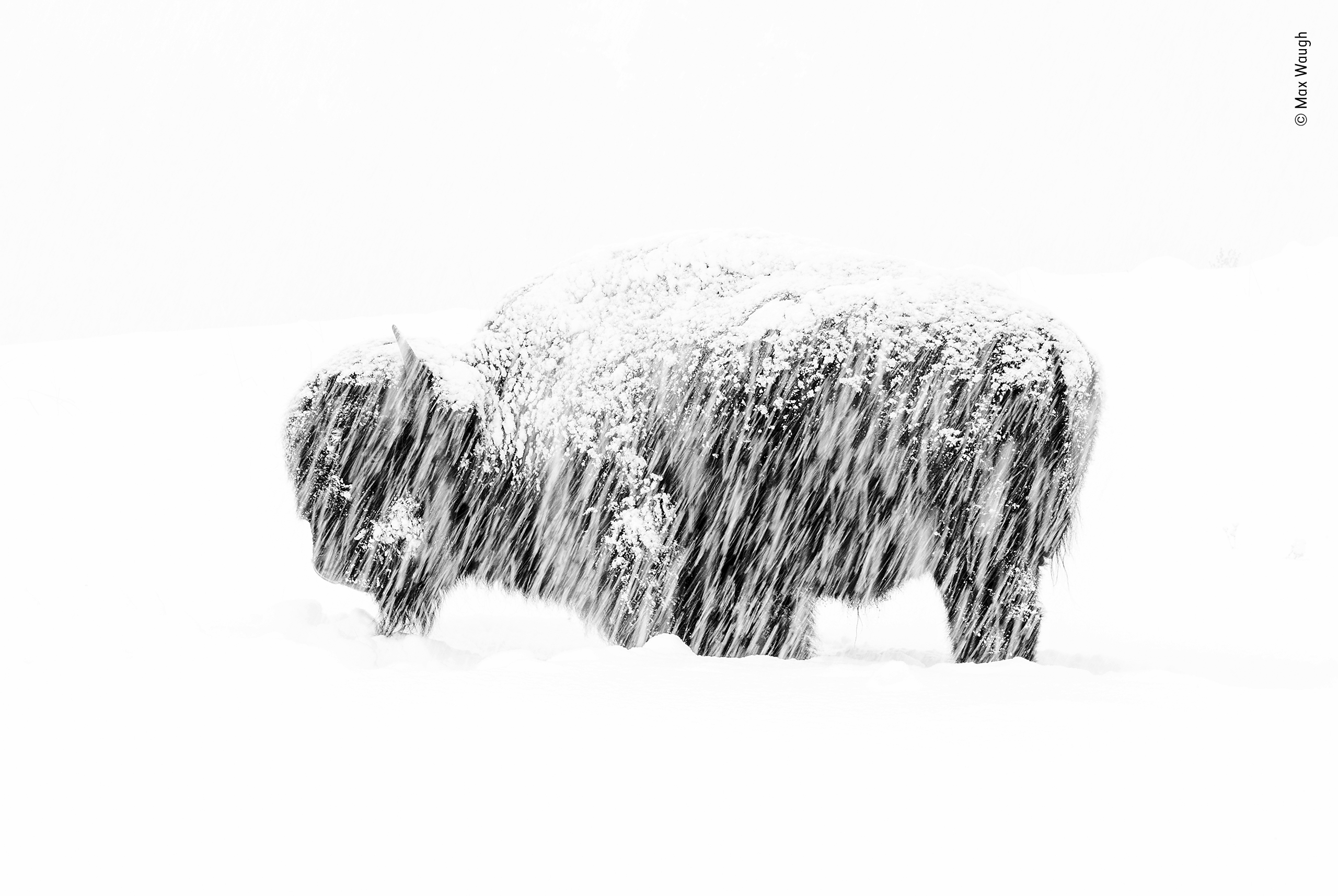 Snow exposure by Max Waugh, USA Winner 2019, Black and White