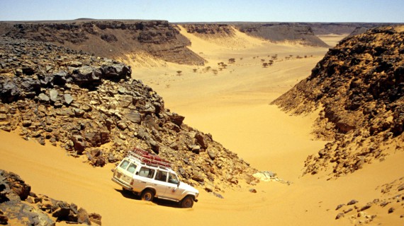 Il deserto è una malattia curabile