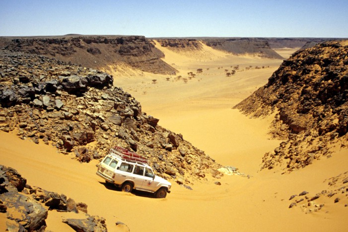 Il deserto è una malattia curabile