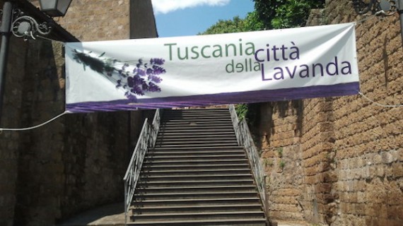 Festa della Lavanda a Tuscania: che cos’è e perché tutti la amano