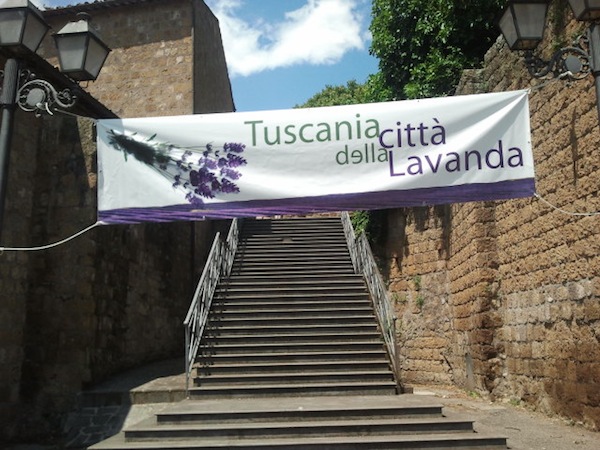 Festa della Lavanda a Tuscania: che cos’è e perché tutti la amano