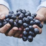 Festa della Vendemmia: perché questo evento fa tornare bambini?