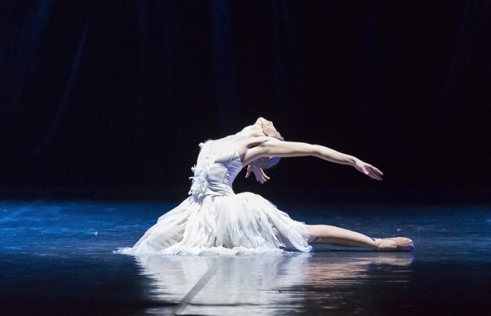 Il Lago dei Cigni ovvero il canto al Teatro Duse