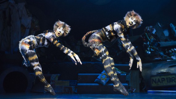 Cats. Let the memory live again – Il Musical