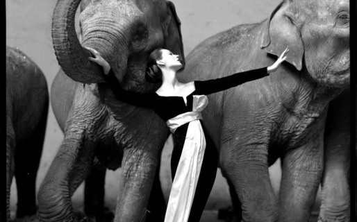 Richard Avedon, la necessità dello stile.