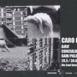 Caro Federico, la mostra di Airò e Concialdi alla GAM