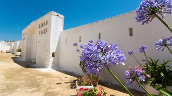Puglia, arriva la Biovacanza perfetta in Masseria