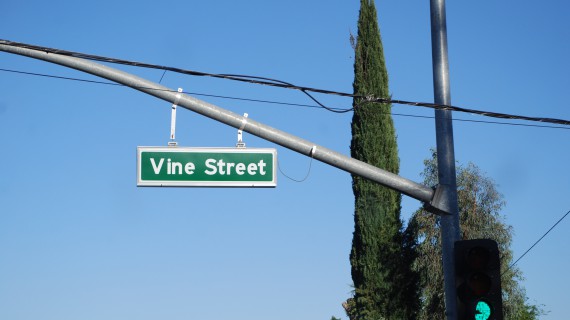 Paso Robles ed il real californian wine: atto primo