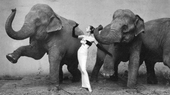 Dior by Avedon