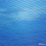 Giornata Mondiale dell’Acqua, la festa dell’Oro Blu