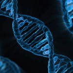 DNA – Il lungo percorso da Mendel alla pecora Dolly