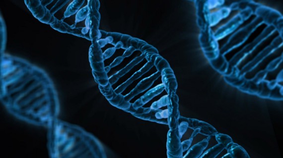 DNA – Il lungo percorso da Mendel alla pecora Dolly