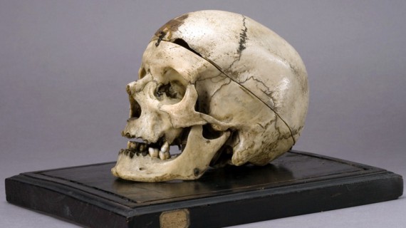 Museo Lombroso, la casa degli orrori torna d’attualità al Salone del Libro