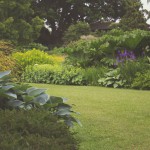 Home and garden, il giardinaggio oggi si fa sul Web