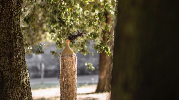 Carta InCANTA, per vivere la piccola favola di Carlotta Parisi in Val d’Orcia