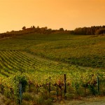 The Chianti Connection e la salvaguardia dei patrimoni culturali