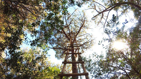 Ambienta, la natura non indifferente di Roccamare