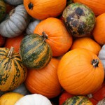 La Zucca in agrodolce dal sapore antico e genuino: ricetta Siculish per questo autunno