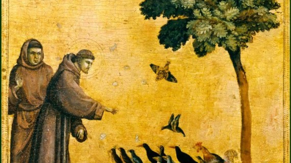 Per Francesco che illumina la notte, il medioevo thriller di Elsa Flacco