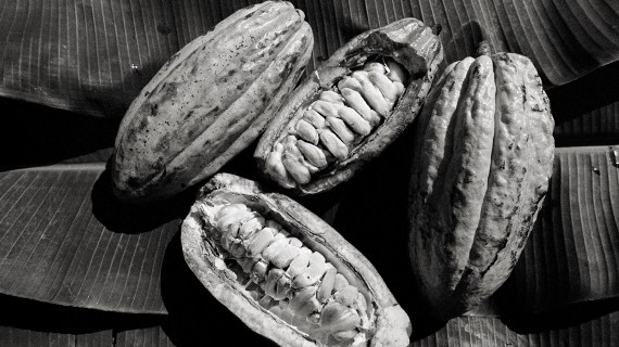 Cacao, il Brasile di Jorge Amado immortalato da Luca Rinaldini