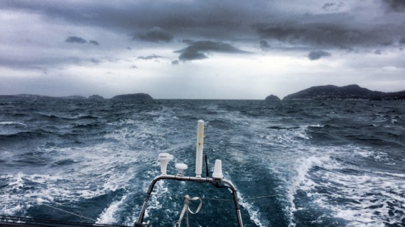 Crossing Routes con Vaquita: andare per mare, un mare “speciale”