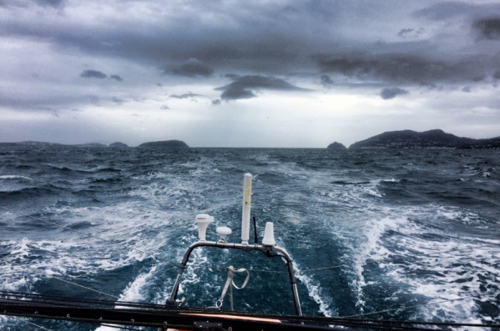 Crossing Routes con Vaquita: andare per mare, un mare “speciale”