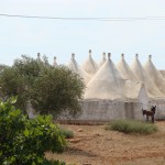 Puglia, non solo mare: le masserie come meta alternativa