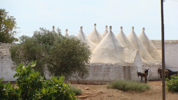 Puglia, non solo mare: le masserie come meta alternativa