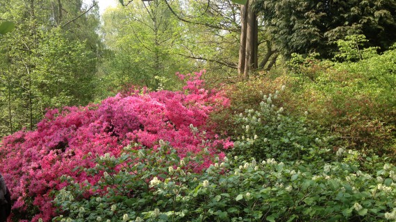 E’ entrata la primavera con i trucchi Love’s Nature