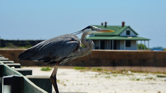Off the beaten roads: Florida Panhandle, un tour ideale fuori dai soliti itinerari