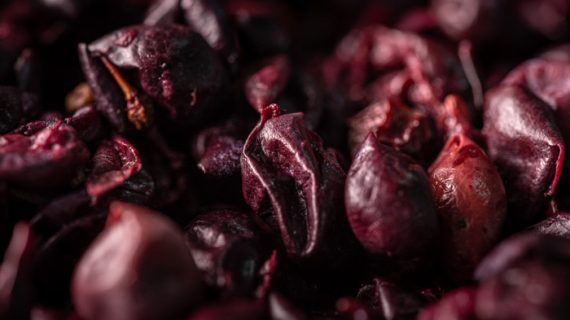 Il potere dell’uva. Dai benefici nutrizionali agli elisir della bellezza