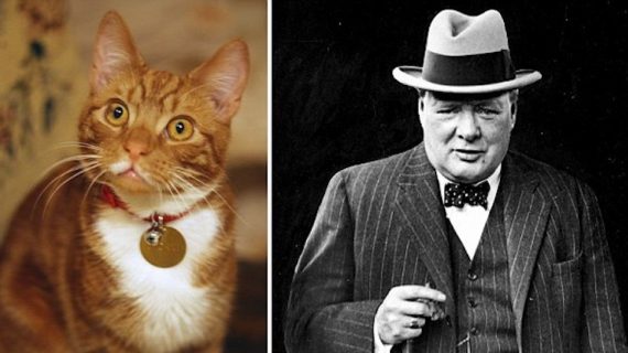 Mondo Gatto: i gatti e i personaggi famosi