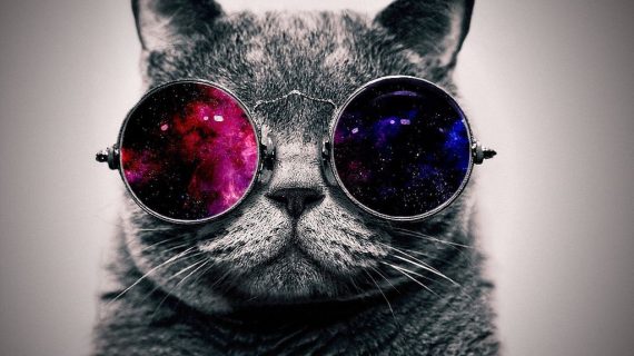 Mondo gatto. Il gatto tra il tempo e lo spazio