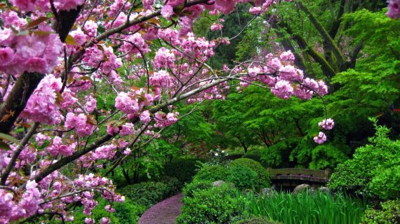 Era di Maggio tra natura e storie al femminile
