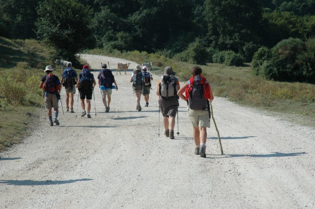 festival europeo delle vie francigene