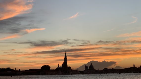 Un muro ci separa dal Red Carpet a Venezia 77 ma cosa siamo riusciti ad apprezzare?