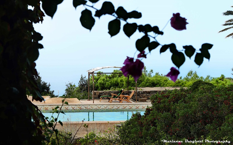 A bigger splash e Tenuta Borgia mywhere