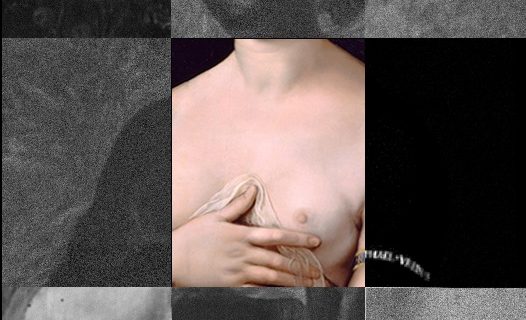 Palazzo Barberini zooma su Raffaello: la Fornarina sempre più da vicino