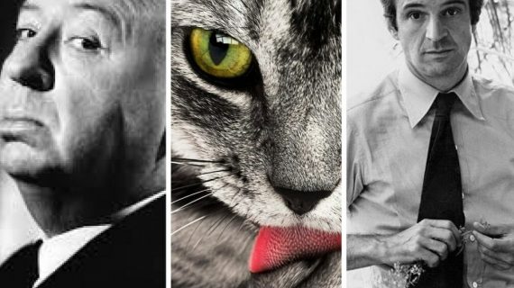 Mondo Gatto: i gatti nel cinema (inizio del percorso)