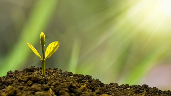 Seminare speranza attraverso cultura e Green Economy