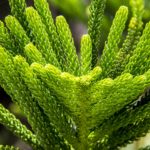 Vivere con semplicità al ritmo della natura