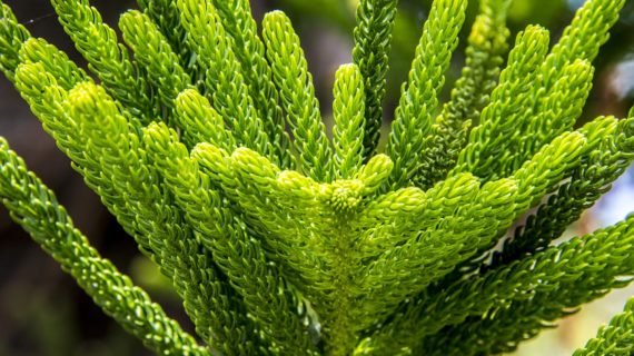 Vivere con semplicità al ritmo della natura