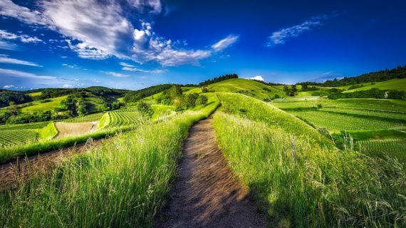 Tornano gli itinerari estivi nei luoghi iconici della Franciacorta