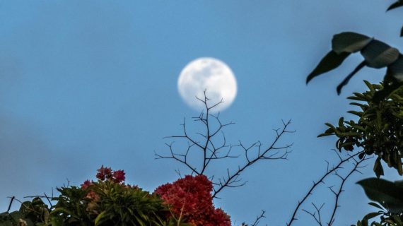 Benvenuto solstizio d’estate: curiosità sul giorno più lungo dell’anno