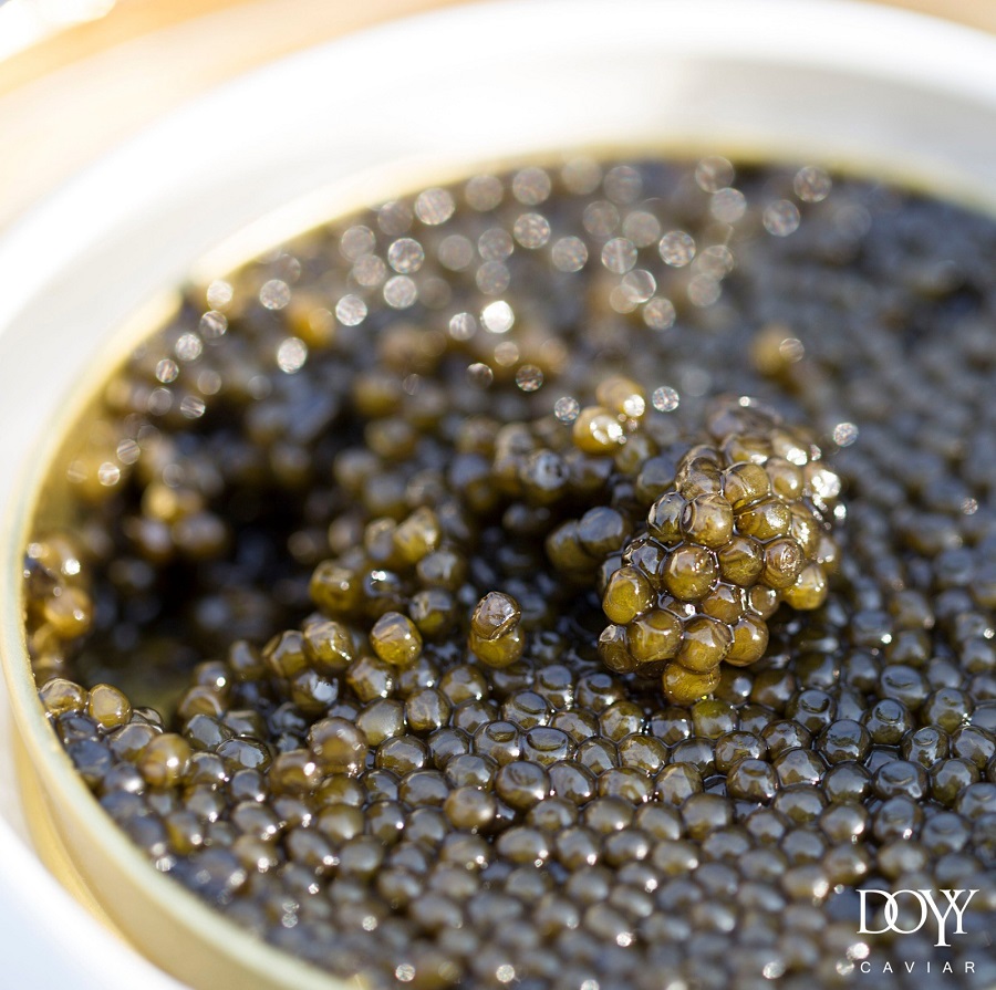 Caviale