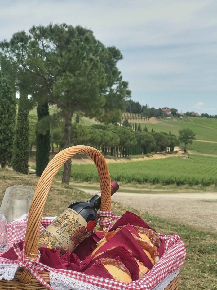 CARPINETO-Pic Nic al Dogajolo nella tenuta di Montepulciano