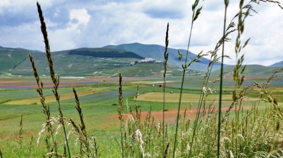 Turismo nelle Marche, una regione ancora da scoprire