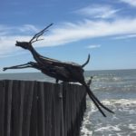 L’arte che nasce dal mare: ecco le sorprendenti sculture di legno di Enrico Menegatti
