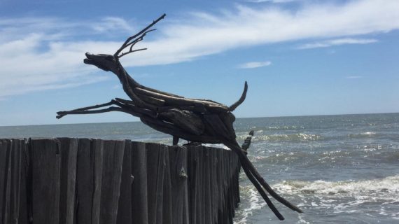L’arte che nasce dal mare: ecco le sorprendenti sculture di legno di Enrico Menegatti